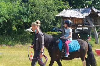Freund Pferd und Alles rund um den Wald