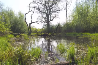 Arten, Biotope und Landschaften im Biosph&auml;renreservat Bliesgau