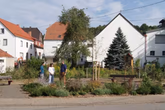 Mit Baumpflanzungen dem Klimawandel trotzen