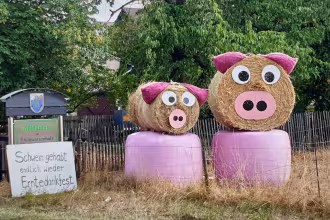 Aufruf zum 64. Erntedank-Festumzug in Schwarzenholz