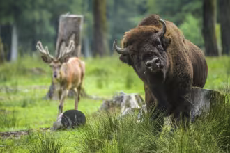 Wild- und Wanderpark der Gemeinde Weiskirchen