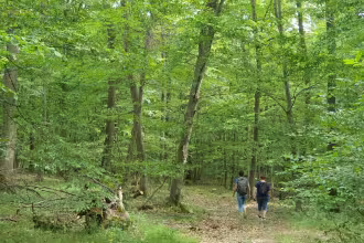 &bdquo;Grenzen, Wald und Wanderlust&ldquo; &ndash;