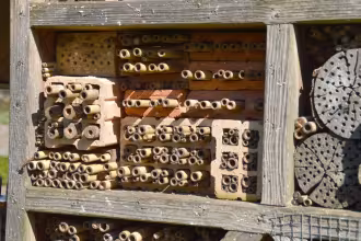 N&uuml;tzlingshilfen im Garten und auf der Obstwiese