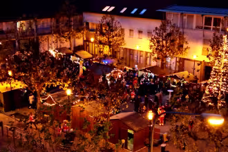 Weihnachtsb&auml;ume zu versteigern. Der Erl&ouml;s geht an die Ensdorfer Jugendfeuerwehr und das Jugendrotkreuz.