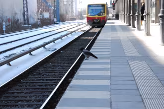 Symbolfoto - S-Bahn