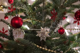 Symbolfoto - Tannenbaum