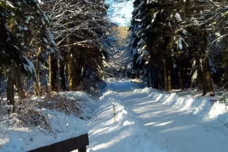 Himmels G&auml;&auml;s Paad
