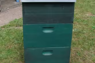 Nach Diebstahl eines Bienenstocks