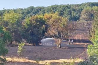 Gro&szlig;er Fl&auml;chenbrand bei Lautenbach