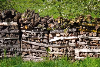 Holzdiebstahl