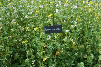 PM Bienengarten