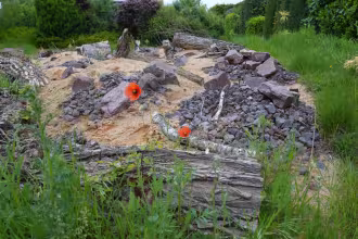 Presseinfo - Sandarium in Picard &ndash; neuer Lebensraum f&uuml;r Wildbienen und Lernort f&uuml;r Umweltbildung